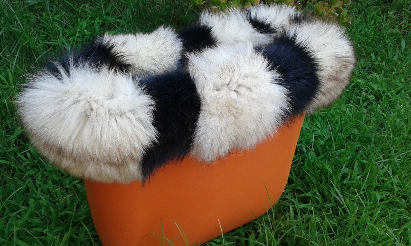 Real fox border multicolor or bag classic including charm only 39.99 and - O Bag